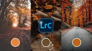 How To Boost Autumnal Colours in Lightroom Classic #2minutetutorial