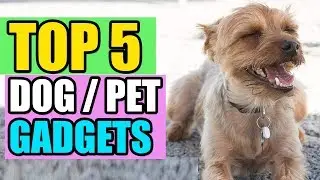 Top 5 Best Dog Products / Gadgets On Amazon - Every Dog Lover Needs In 2020