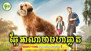 ឆ្កែអាណាថាមហាឆ្លាត | ម្អម សម្រាយរឿង