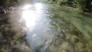 Fly fishing Savinja strong trout