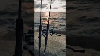 Okuma wave power 2-12 lrf 🤘😎#fishhunting #fishing #fish #