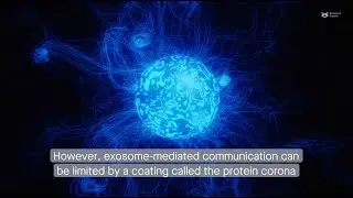 The exosome&rsquo;s new clothes: How different protein coats can affect exosome behavior