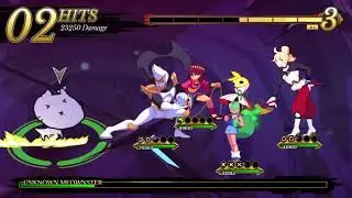 Indivisible - Unknown Meownster Secret Boss Fight