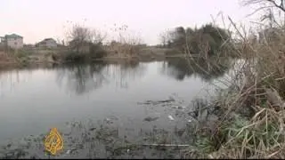 Thousands of pigs found dead in China river