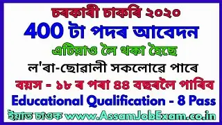 Assam Government Job Recruitment for 400+ Post for VIII Pass || Apply Online