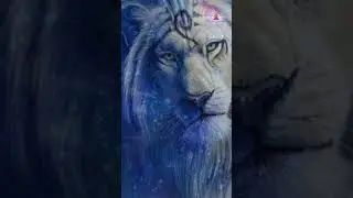 Felino Shankar VIT&Oacute;RIA DA LUZ