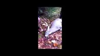 DYLAN OUTDOORS - Deer Hunting 2012