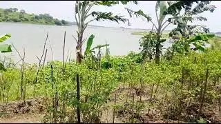 Danau Setu patok Cirebon