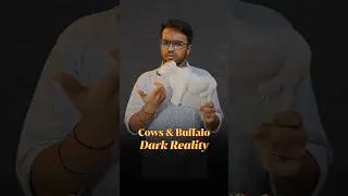 India&rsquo;s Beef SECRET!!🐃 🤯 #shorts #cow #hinduism