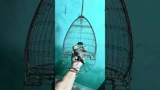 Cùng em làm lụp nhé ( 0926671234)