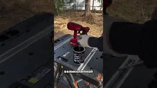 И что вообще делать с таким соседом 🤔