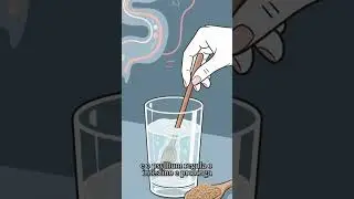 Ozempic de pobre: saciedade natural com chia, linha&ccedil;a e psyllium