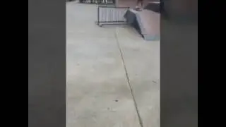 Oklahoma skateboarding !