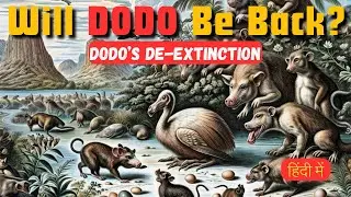 Can we bring DODO back? |Mystery Behind DODO's Extinction