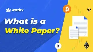 What is a White Paper? | Explained |