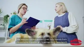 Professional Pet Vaccination Services in McKinney TX | Country Creek Animal Hospital