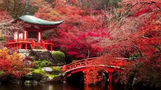 In the Garden of Silence ~ Relax Music