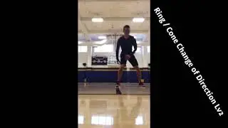 PJF Performance - Week 5 - VERTCODE ELITE