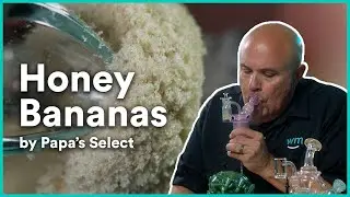 Honey Bananas 120u Ice Water Hash by Papa&rsquo;s Select | Strain Review