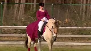 PaardenPunt TV | Ras in de kijker: Fjord