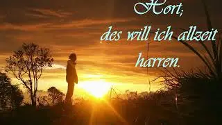 Aus tiefer Not schrei ich zu dir
