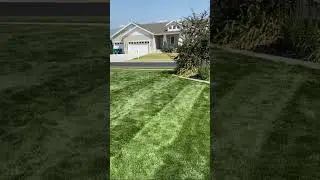 Spring Lawn Seeding Is Coming Up - Should You Seed? #seeding