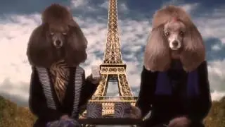 Talking french poodles on relief of HemorrhoidsPiles & Constipation TUSHM D  HD