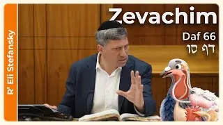 Daf Yomi Zevachim Daf 66 by R' Eli Stefansky