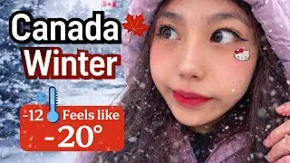 Winter in Canada Be Like ❄️ | Going to Work Vlog