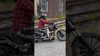 Harley Softail breakout 117&ldquo;#harley #breakout #softail