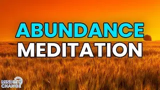 12 Minute Abundance NSDR Meditation