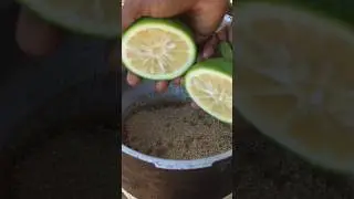 Как приготовить кислый апельсиновый сок на Ямайке #shortsfeed #orangejuice #shorts #juice