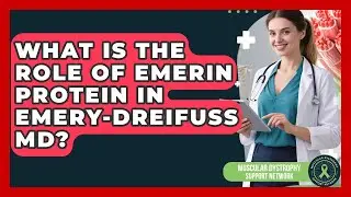 What Is The Role Of Emerin Protein In Emery-Dreifuss MD? - Muscular Dystrophy Support Network