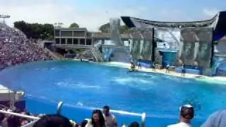 Protramid: Sea World (2)