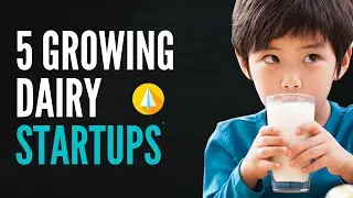 Top 5 Growing Dairy Startups in India