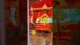 new majisa status 2024 / majisa status / Jai majisa ri saa #majisa #jasol #shorts #video #viral #fyp