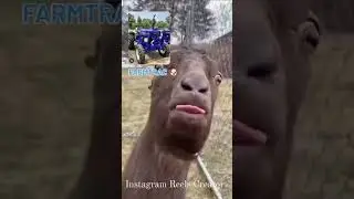 #@0986 🦁🚜🦁🚜🦁🚜 😂🤣
