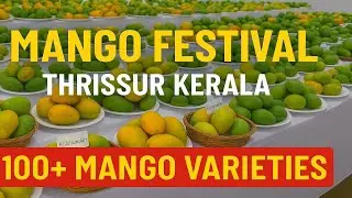ഇതു മുഴുവനും കഴിച്ചാലോ 🤩 മാങ്ങാ മേള തൃശ്ശൂരിൽ 2025