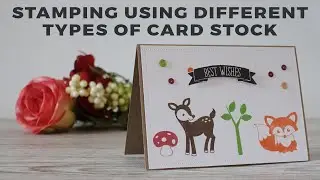 Ink Comparison | Hero Arts | Simon Says Stamp | My Favourite Things | Clearly Besotted Woodland Pals