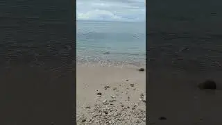 weh island - back to nature