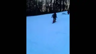 Bad snowboarding fall (got a concussion)