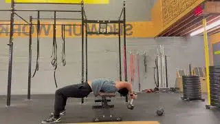 Dumbbell Cross Bench Pull Over