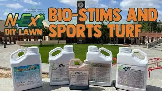 Bring Your Lawn Back with Bio-Stims