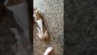 Danscomp unboxing.