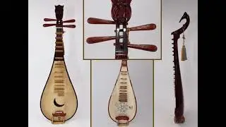 Đ&agrave;n Tỳ B&agrave;