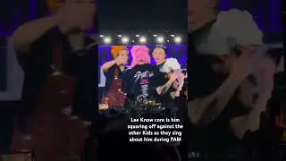 Stray Kids in LA - Lee Know core