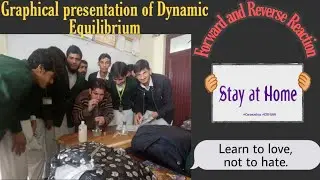 #Miansadique.Graphical presentation of Dynamic Equilibrium|| Forward and Backward chemical Reaction
