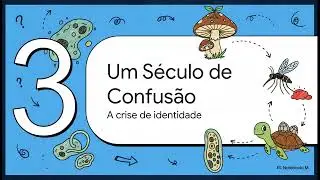 O resgate da antiga defini&ccedil;&atilde;o de Simbiose.