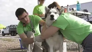DSA23 - Charleston Animal Society (North Charleston, SC)