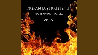Asculta, Doamne, strigatele mele